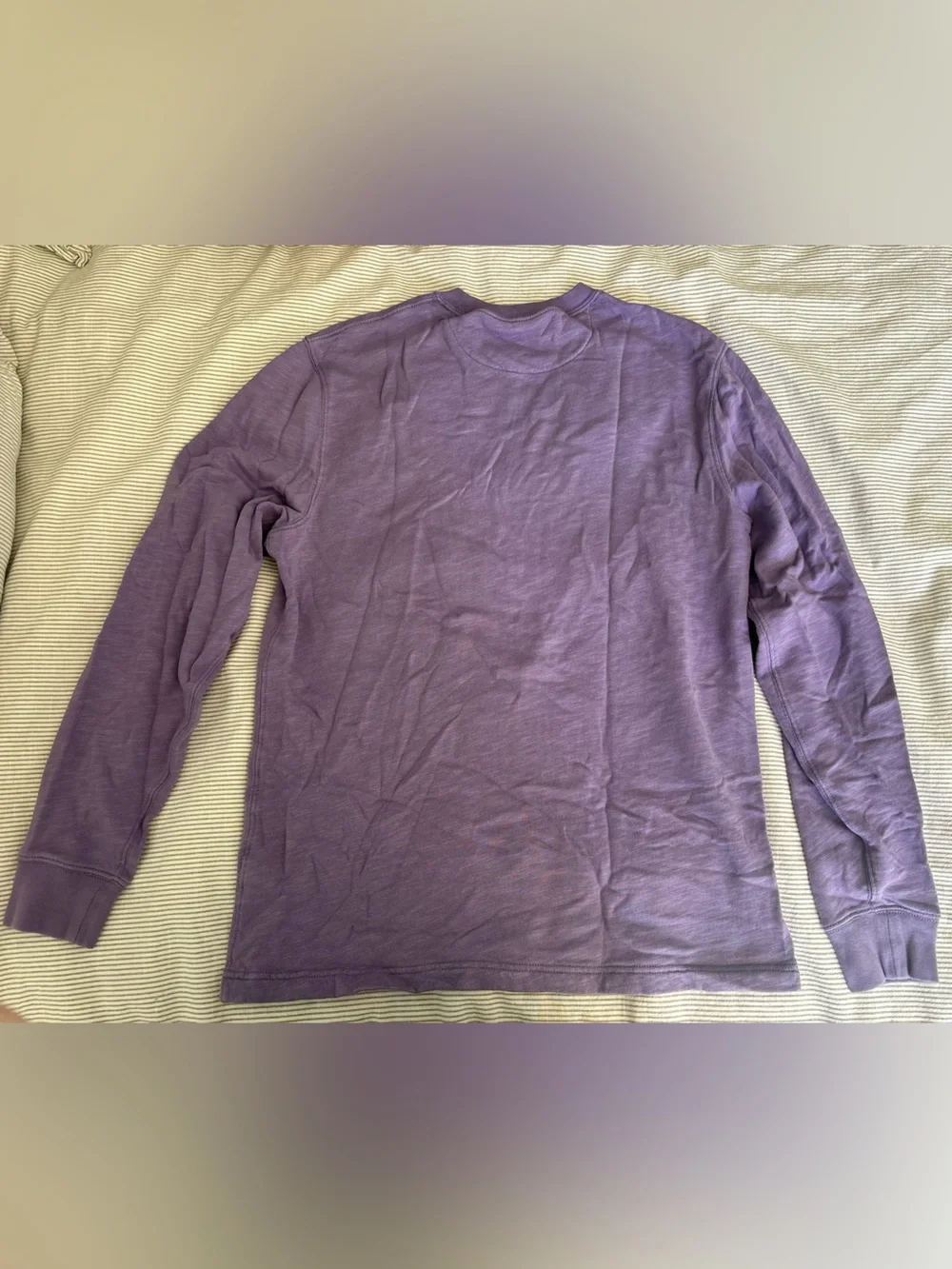 J. Crew Purple Crewneck Sweatshirt